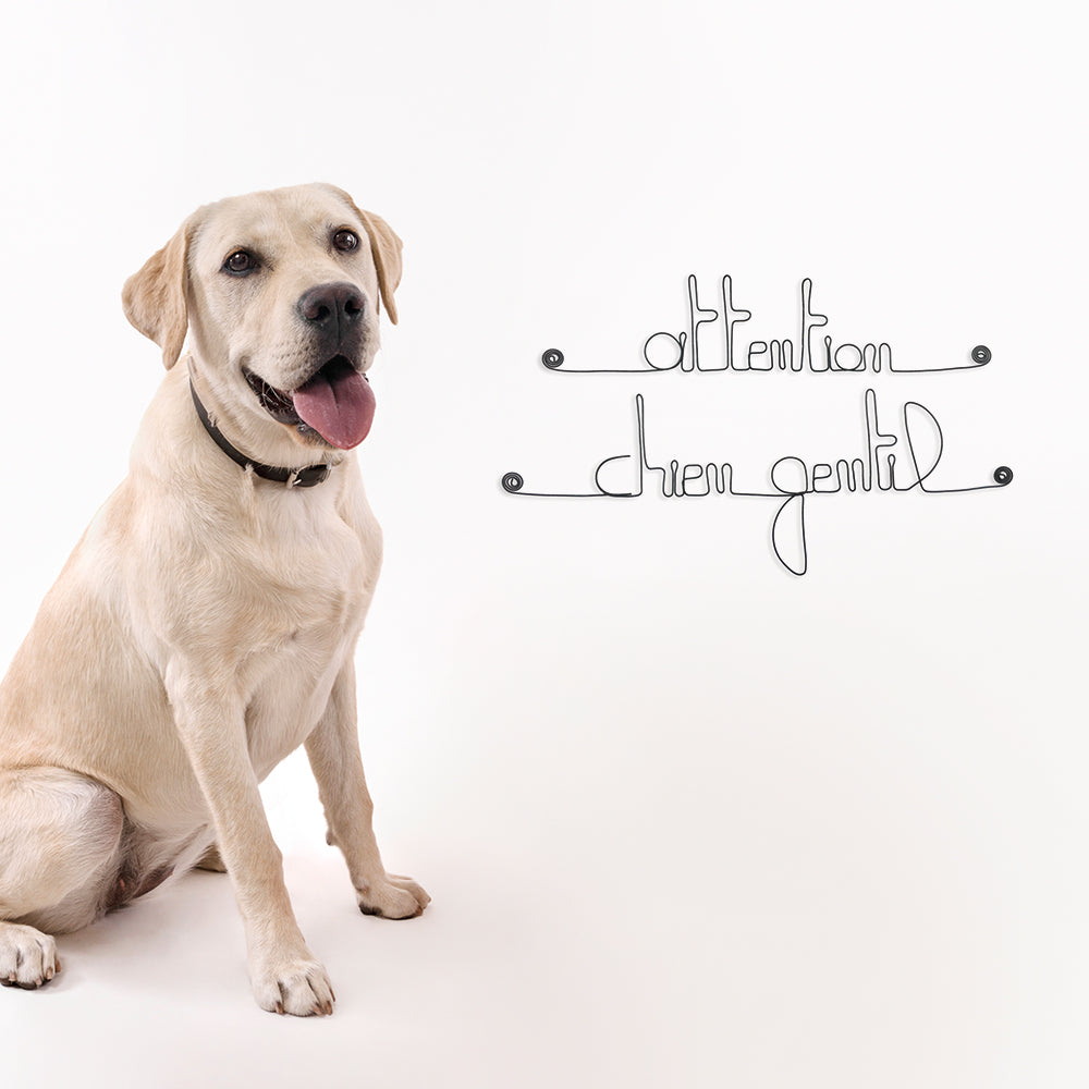Message simple en fil de fer " Attention chien gentil " - à punaiser - Bijoux de mur