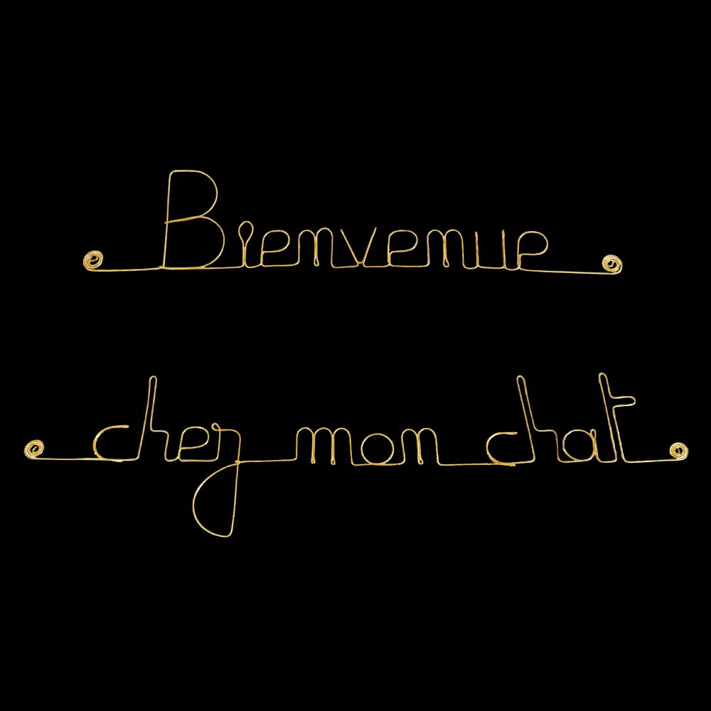 Message simple en fil de fer " Bienvenue chez mon chat " - à punaiser - Bijoux de mur