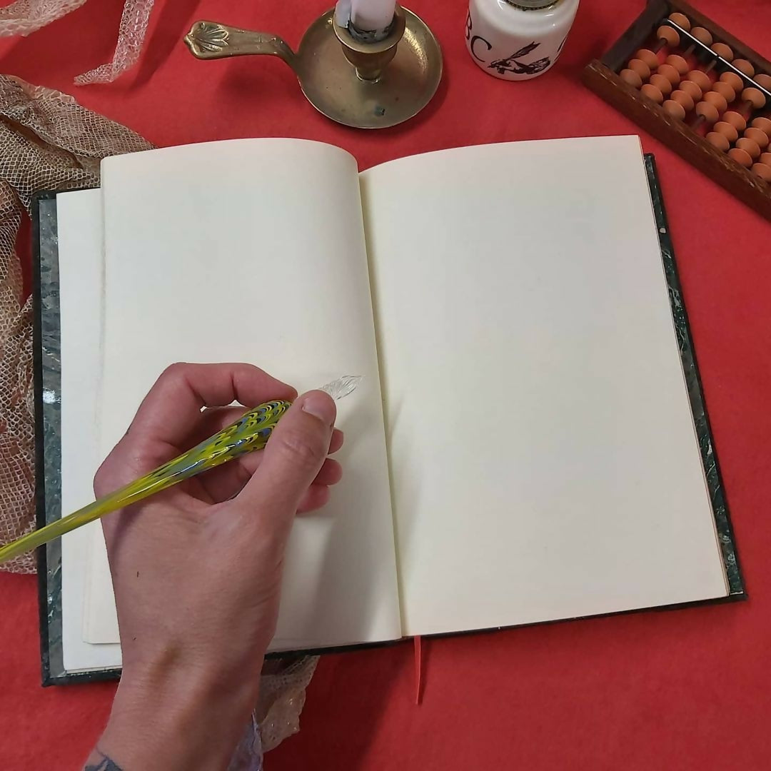 Grimoire / livre d'or en peau de serpent