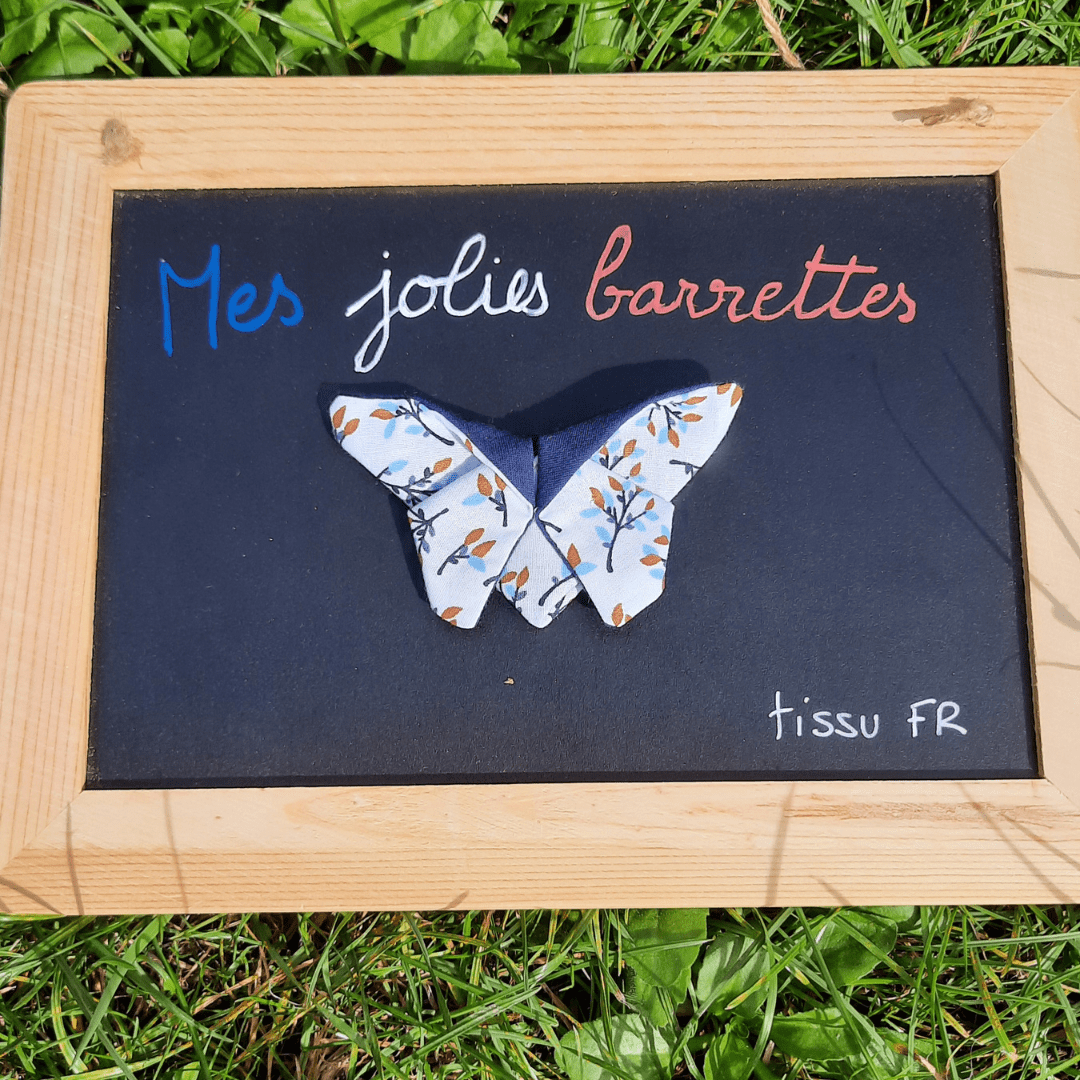 Barrette/broche papillon
