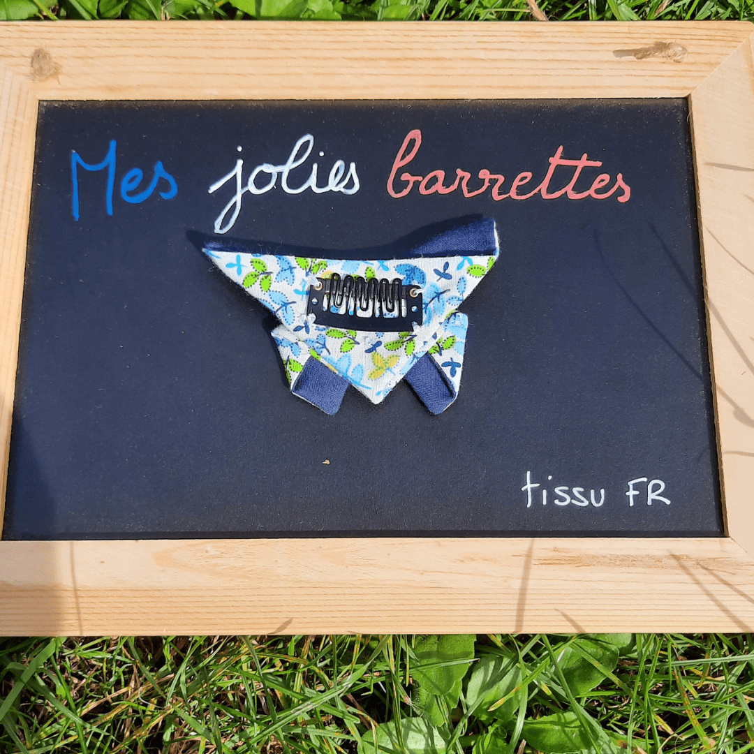 Barrette/broche papillon