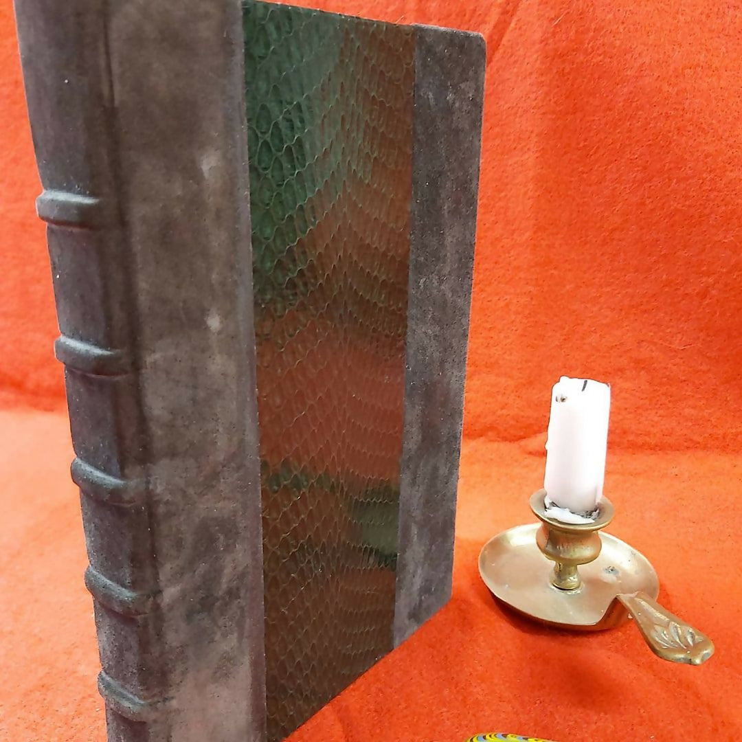 Grimoire / livre d'or en peau de serpent