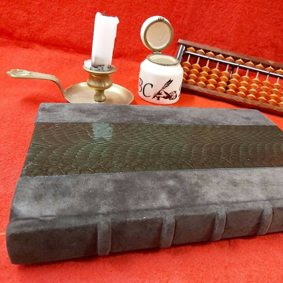 Grimoire / livre d'or en peau de serpent
