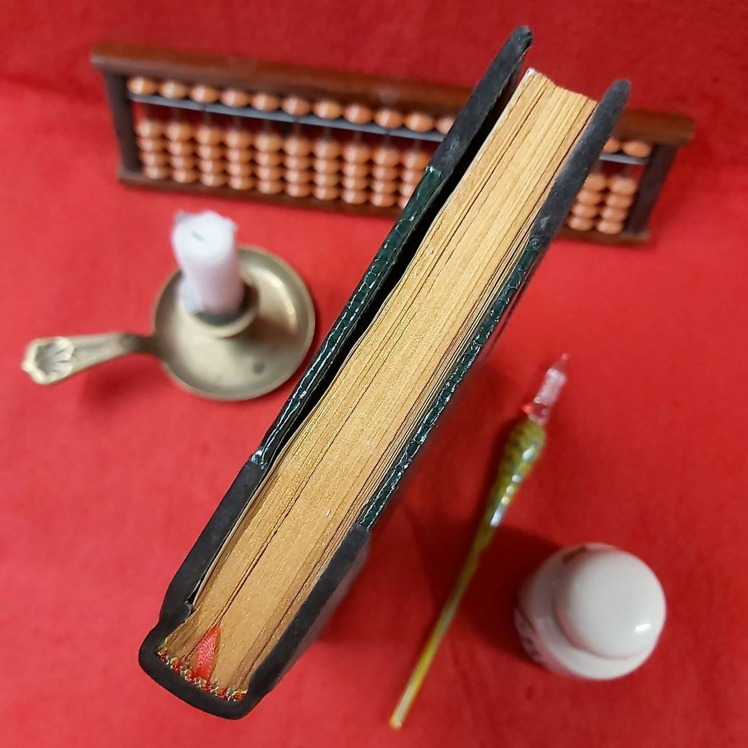 Grimoire / livre d'or en peau de serpent