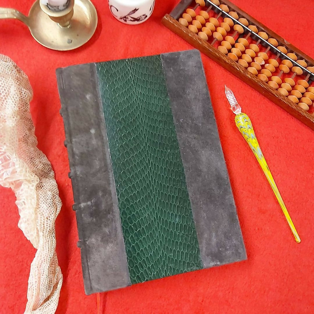 Grimoire / livre d'or en peau de serpent