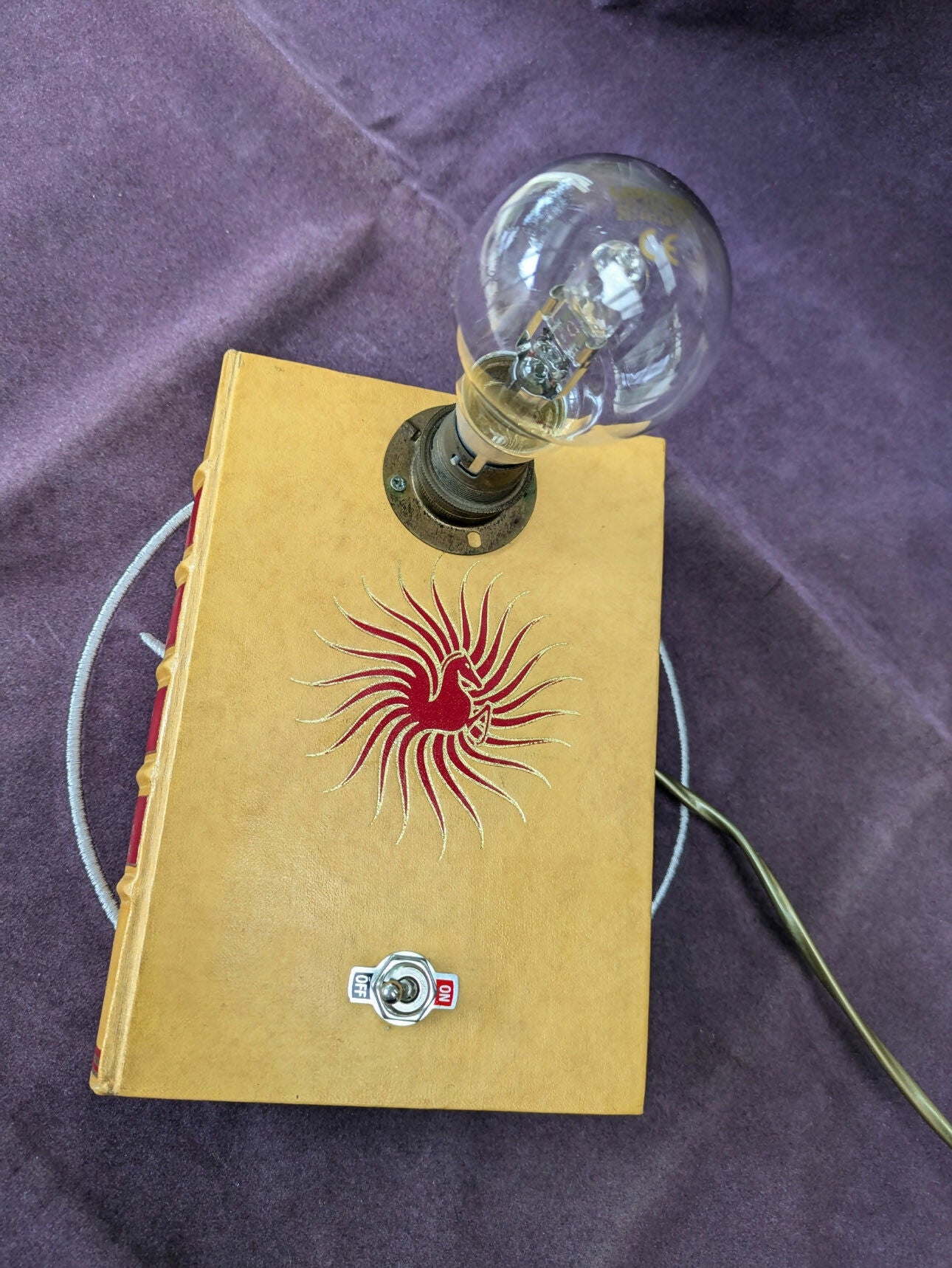 PXL_20240907_150017599