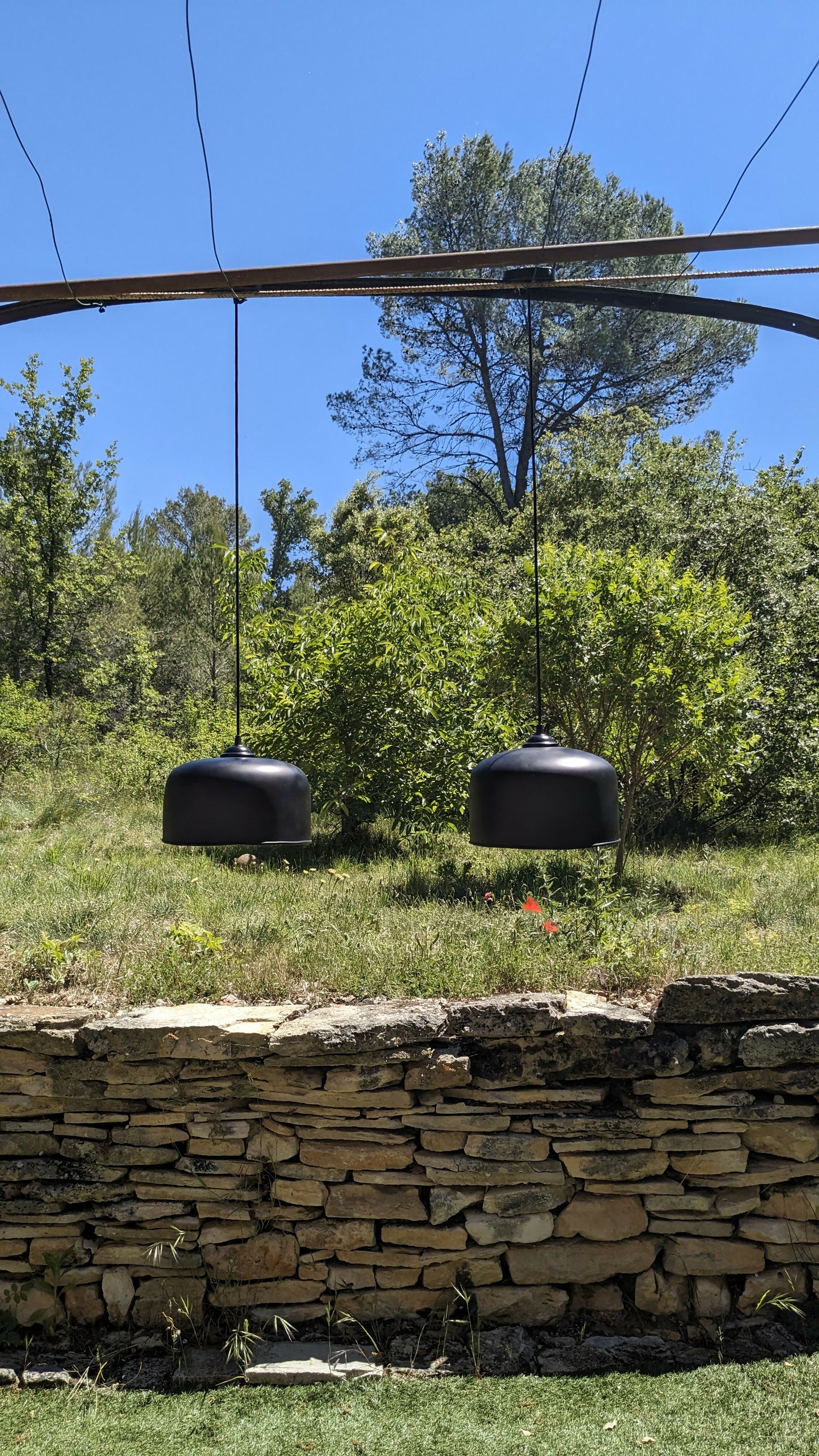 PXL_20240531_100755549