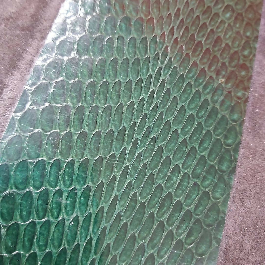 Grimoire / livre d'or en peau de serpent