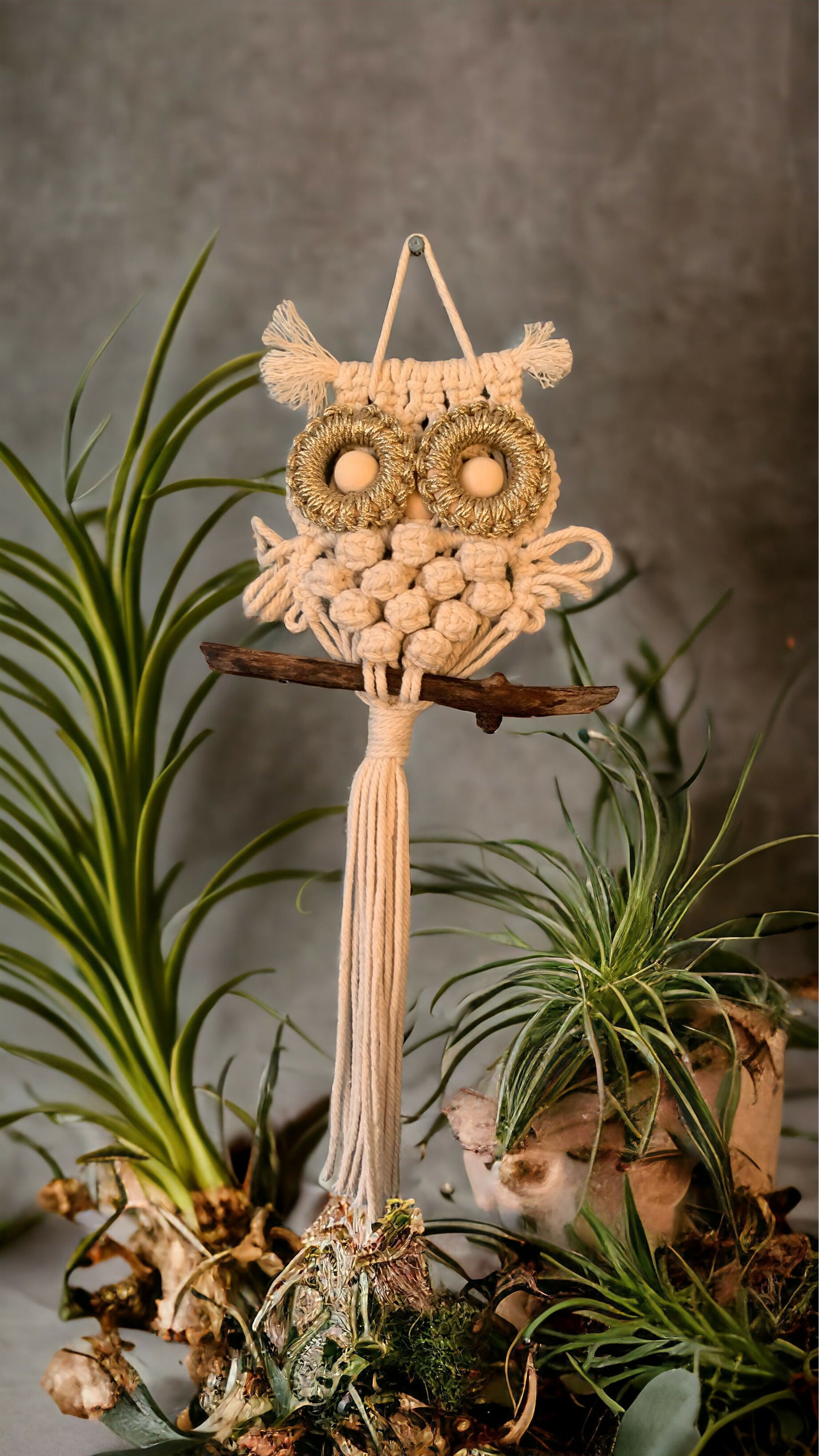 Hibou Ado