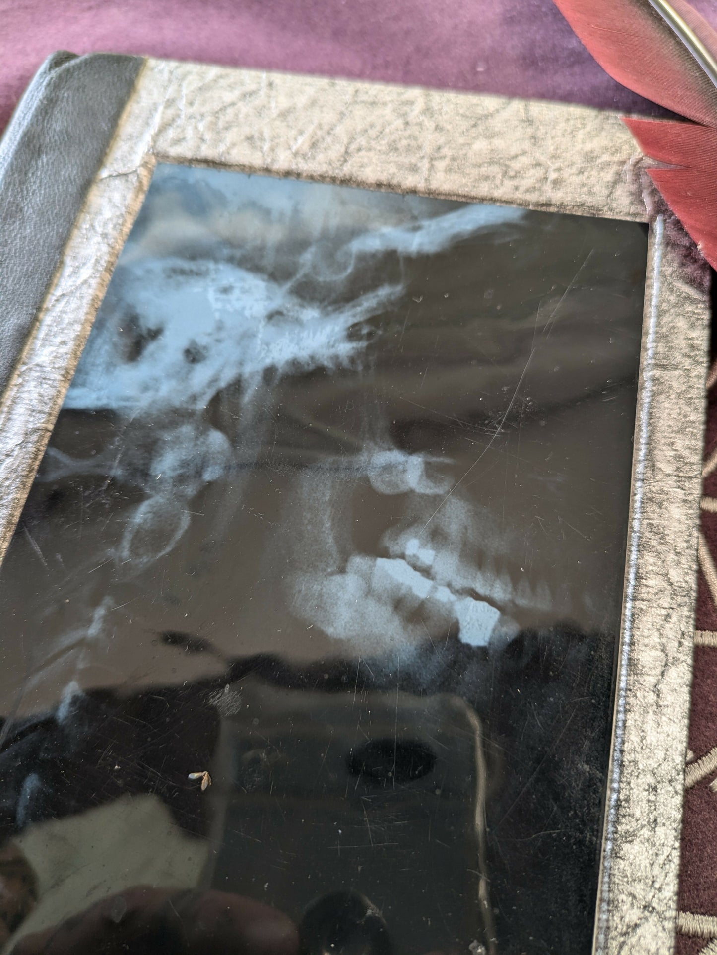 PXL_20240904_145442071