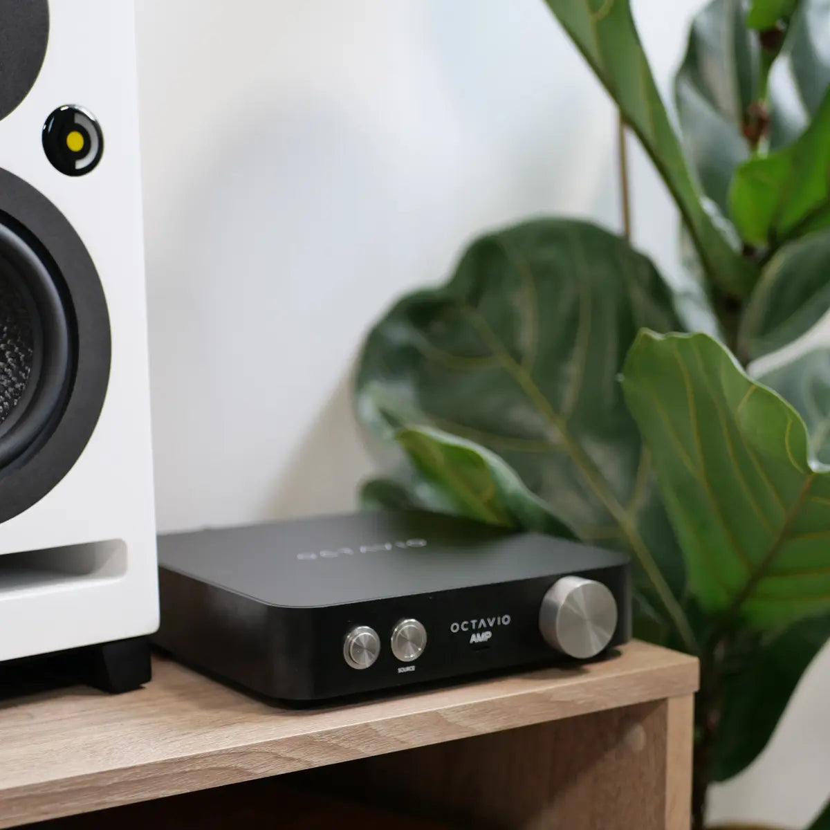 Octavio Amp