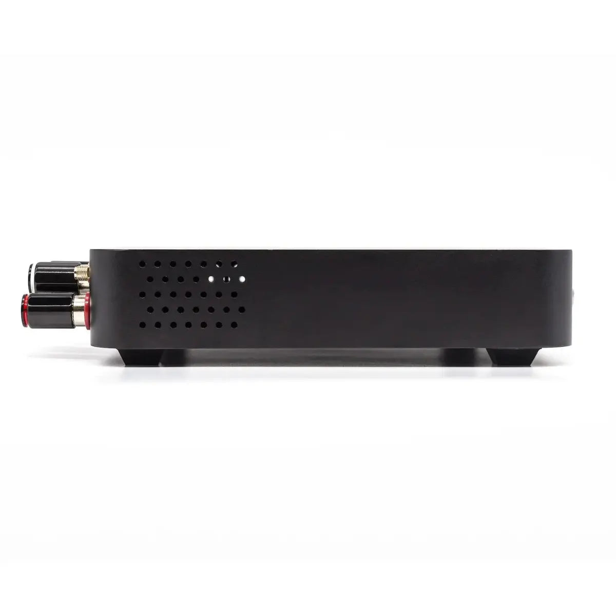 Octavio Amp