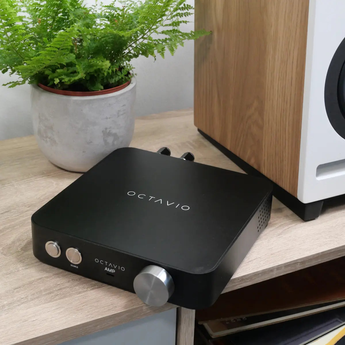 Octavio Amp