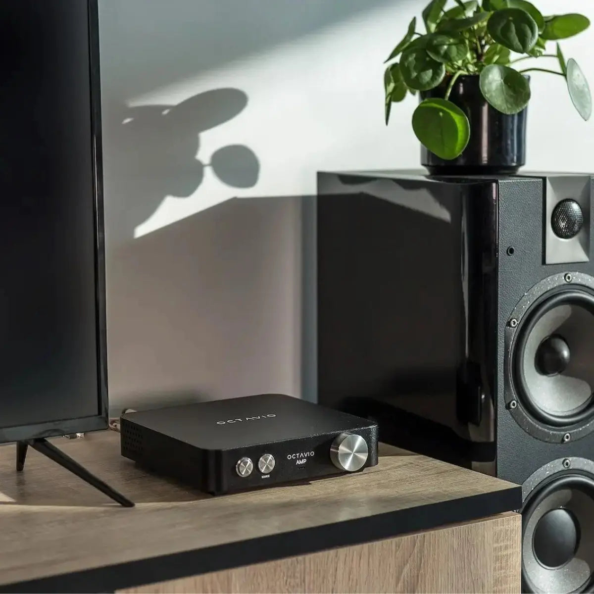 Octavio Amp