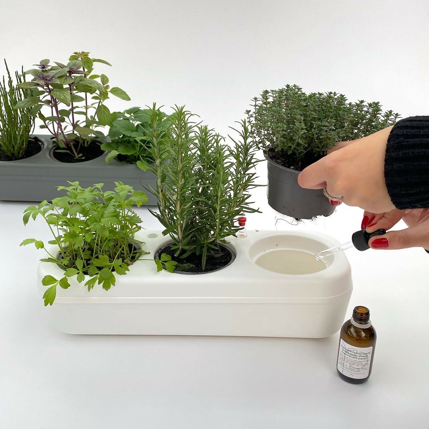 Pbox Potager Urbain Gris avec Basilic, Persil, Coriandre