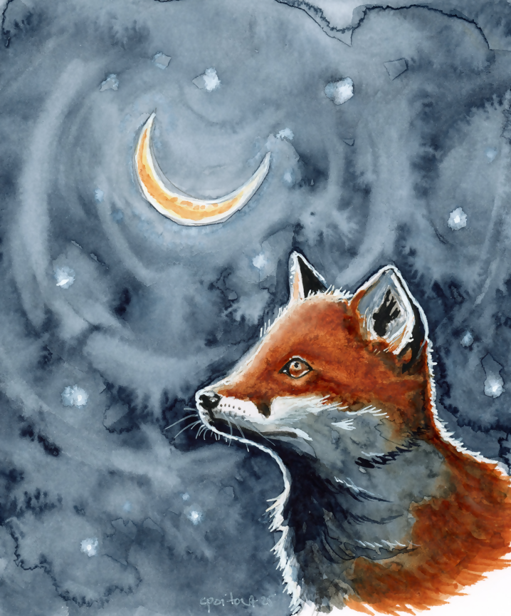 Claire Poitout - Artiste Sauvage