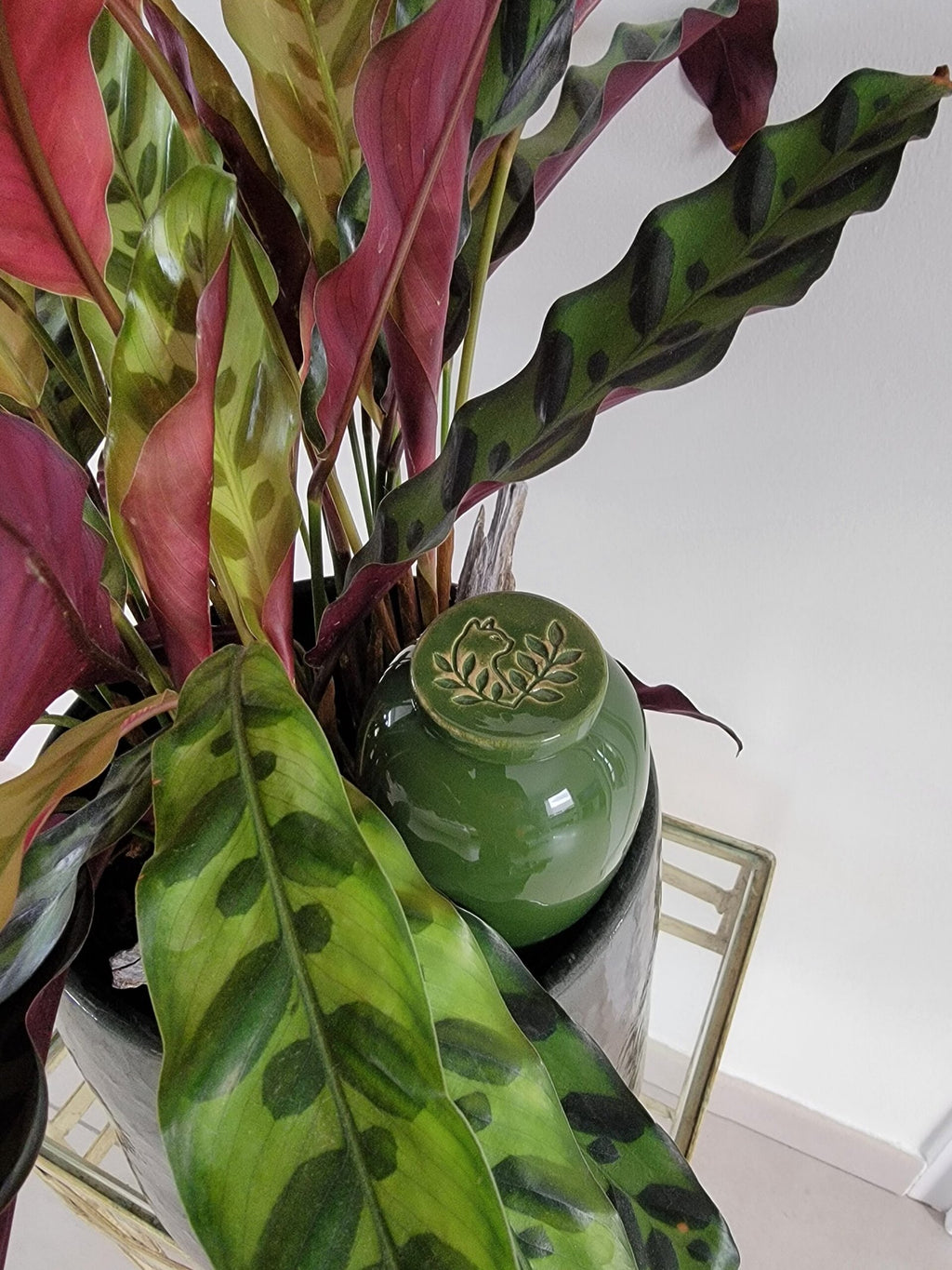 Product Image-3