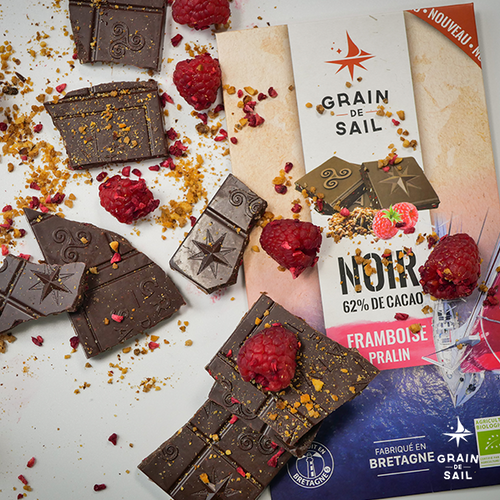 Dark Chocolate Raspberry and Praline Bar - 100G - ORGANIC