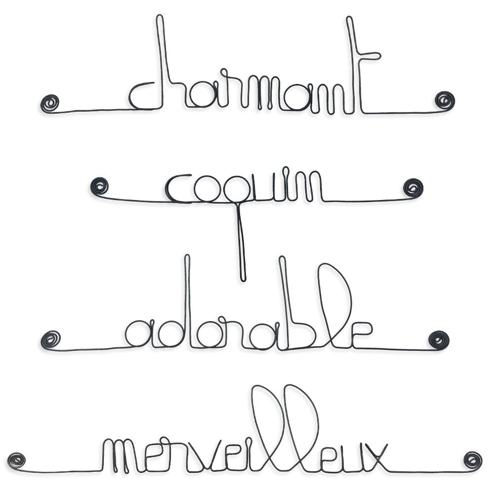 Lot de petits messages en fil de fer - GARÇONNET : Adorable, Charmant, Coquin, Merveilleux - Bijoux de mur