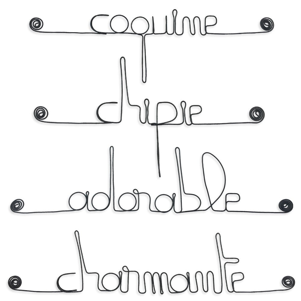 Lot de petits messages en fil de fer - FILLETTE : Adorable, Chipie, Coquine, Charmante - Bijoux de mur