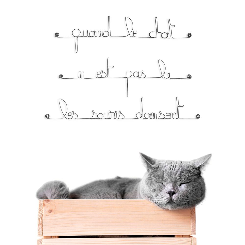 Citation en fil de fer " Quand le chat n'est pas là, les souris dansent " - à punaiser - Bijoux de mur