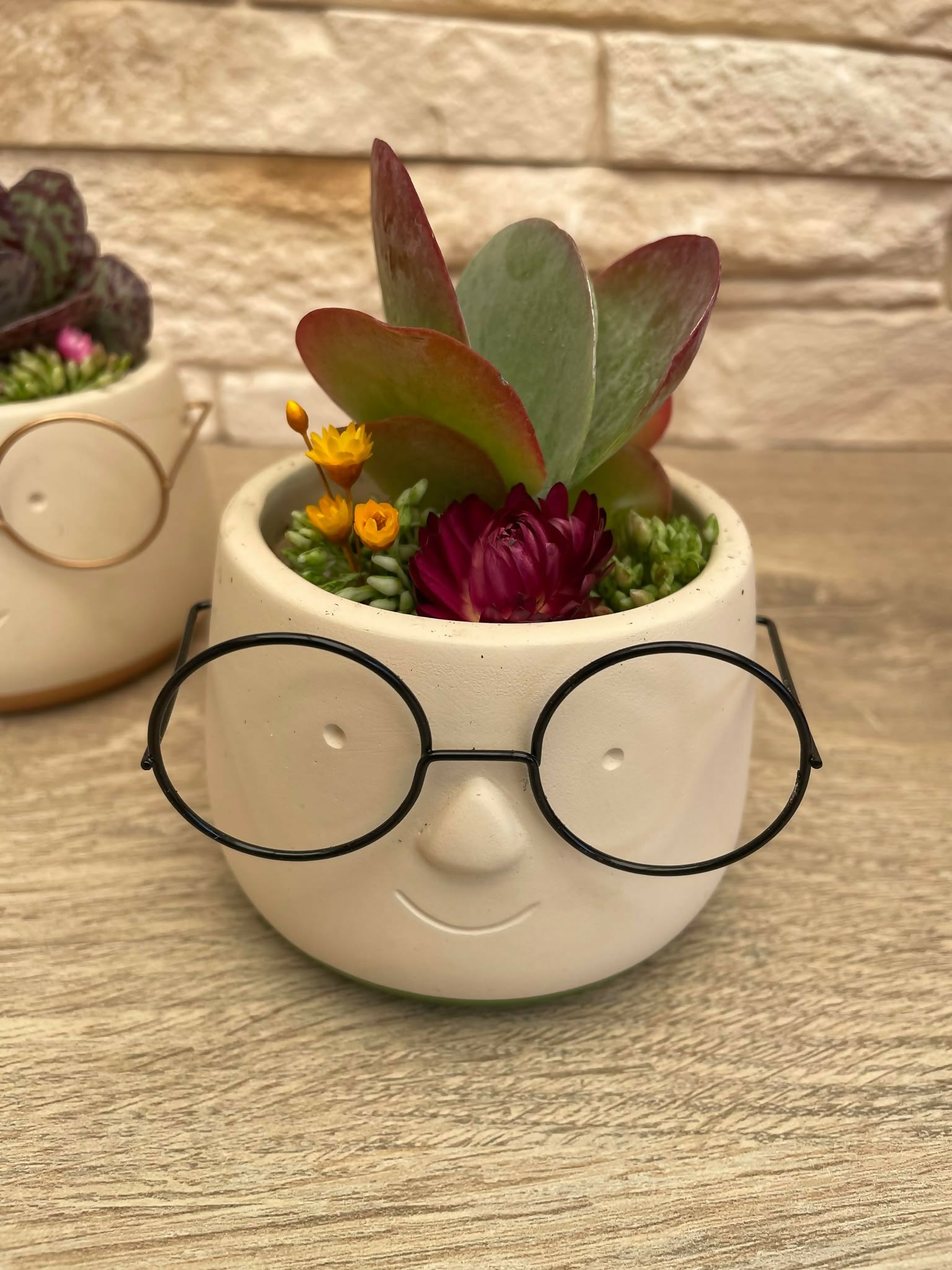 480562251_1877281212805403_1637927747112250802_n