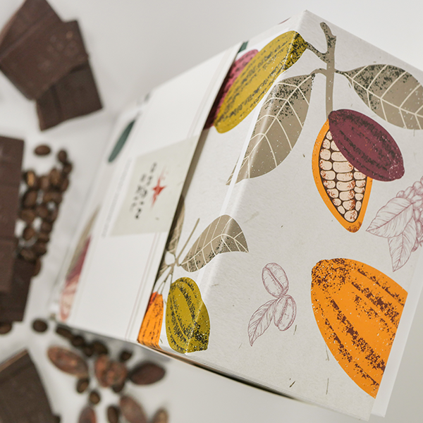 Composition de Noël Boite Cabosse