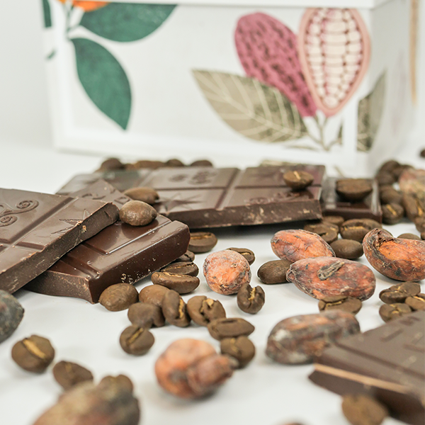 Composition de Noël Boite Cabosse