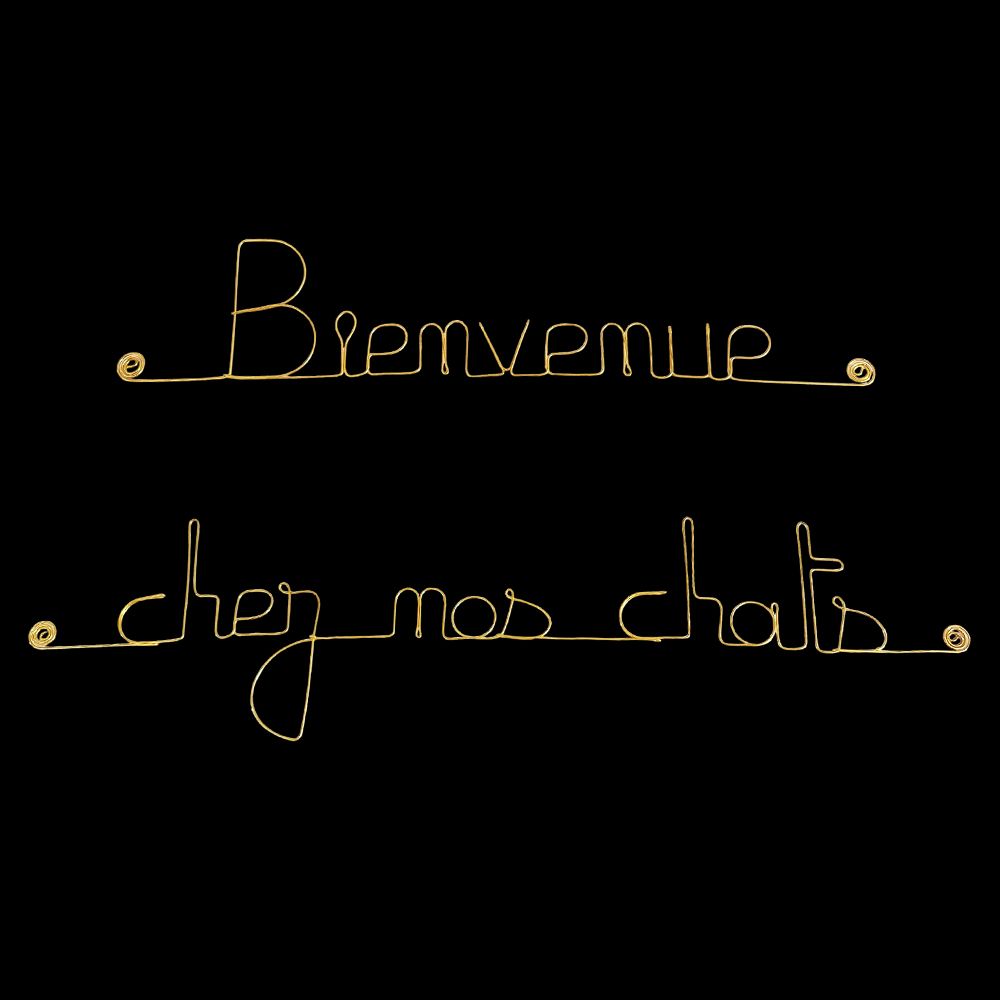 Message simple en fil de fer " Bienvenue chez nos chats " - à punaiser - Bijoux de mur