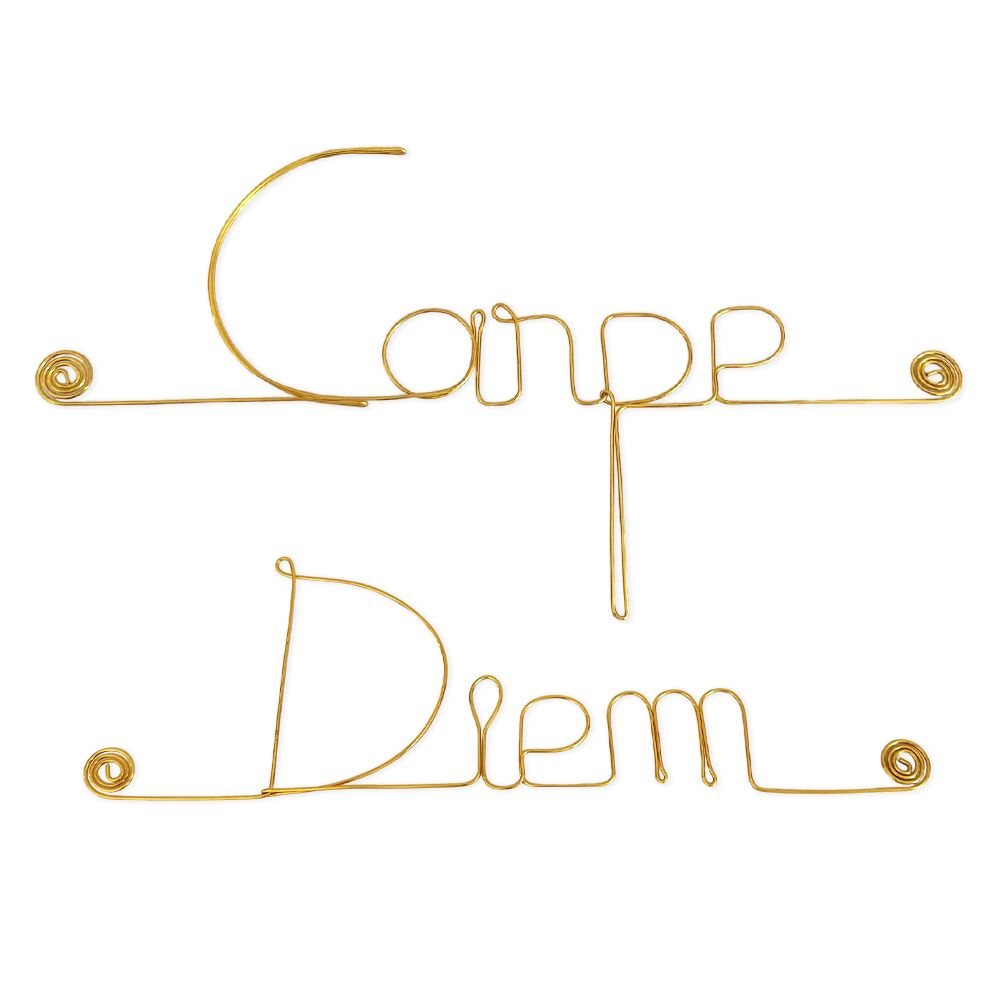 Message simple en fil de fer " Carpe diem " - à punaiser - Bijoux de mur