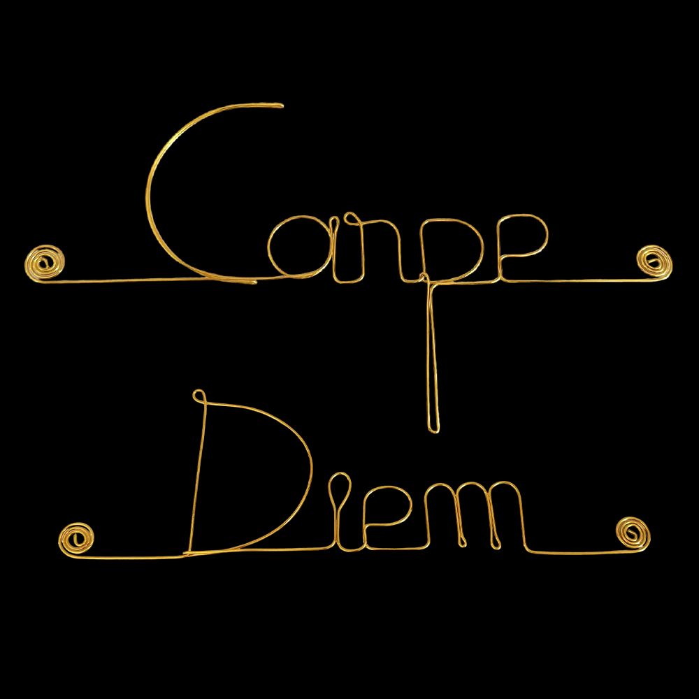 Message simple en fil de fer " Carpe diem " - à punaiser - Bijoux de mur