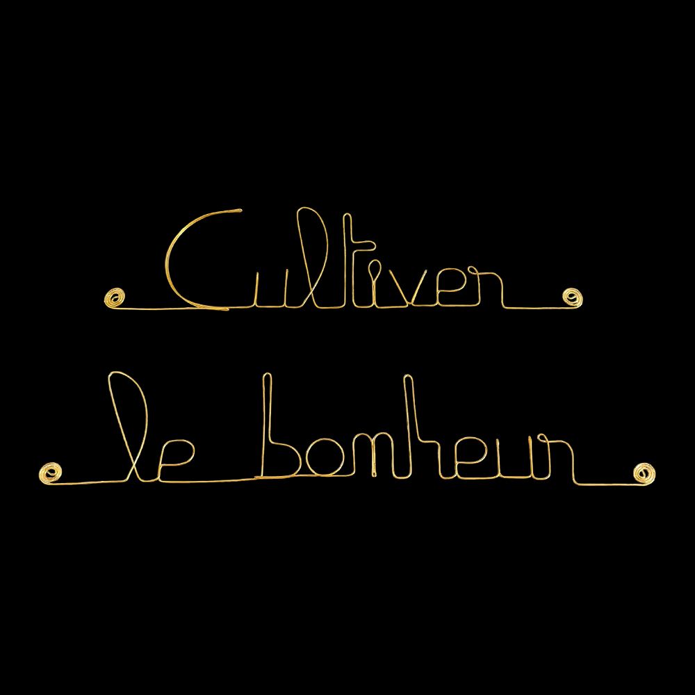 Message simple en fil de fer " Cultiver le bonheur " - à punaiser - Bijoux de mur