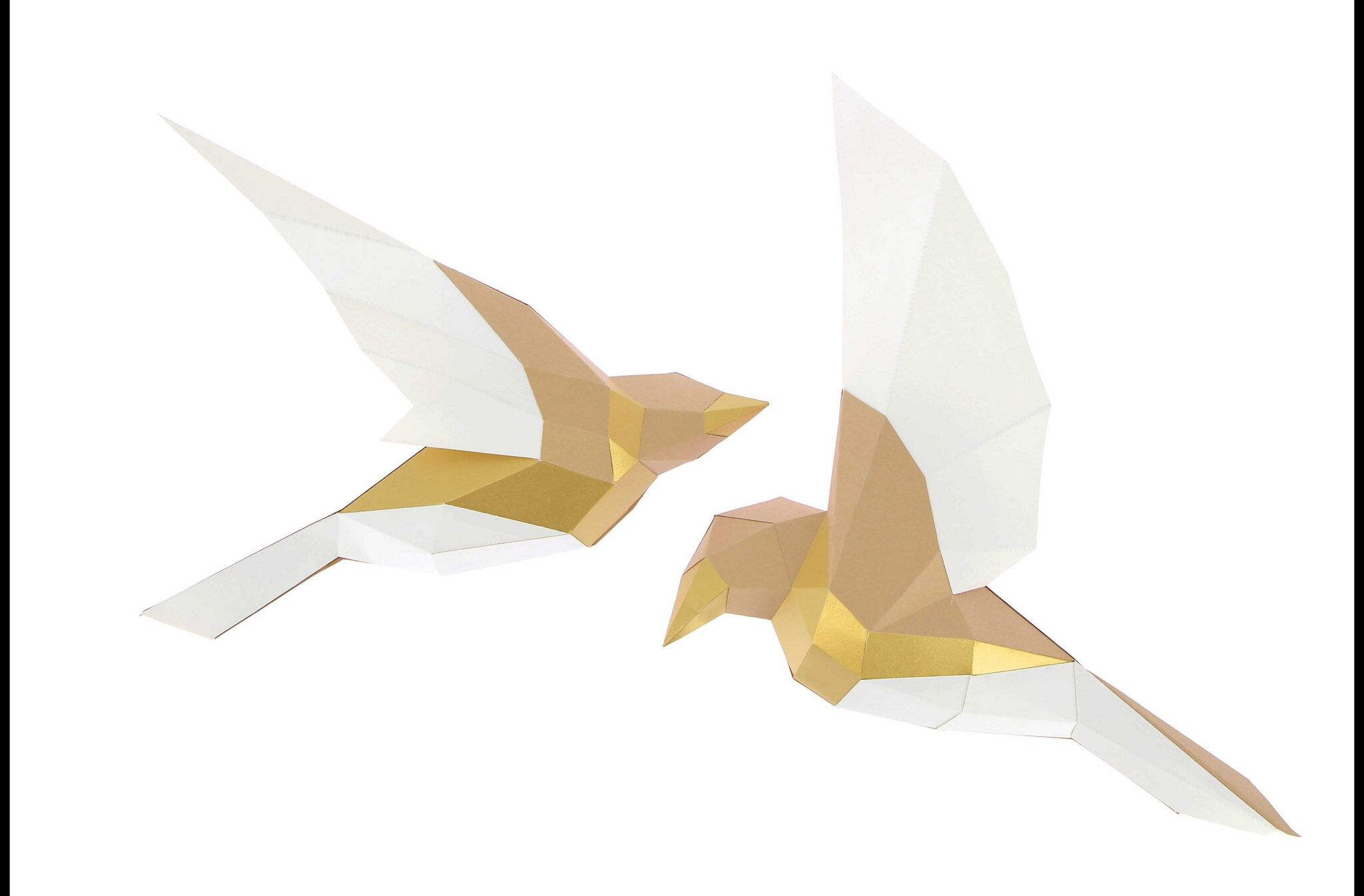 Product Image-0