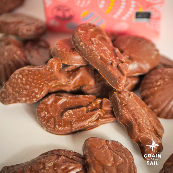 Sachet Assortiment de chocolat au Lait - 150G - BIO