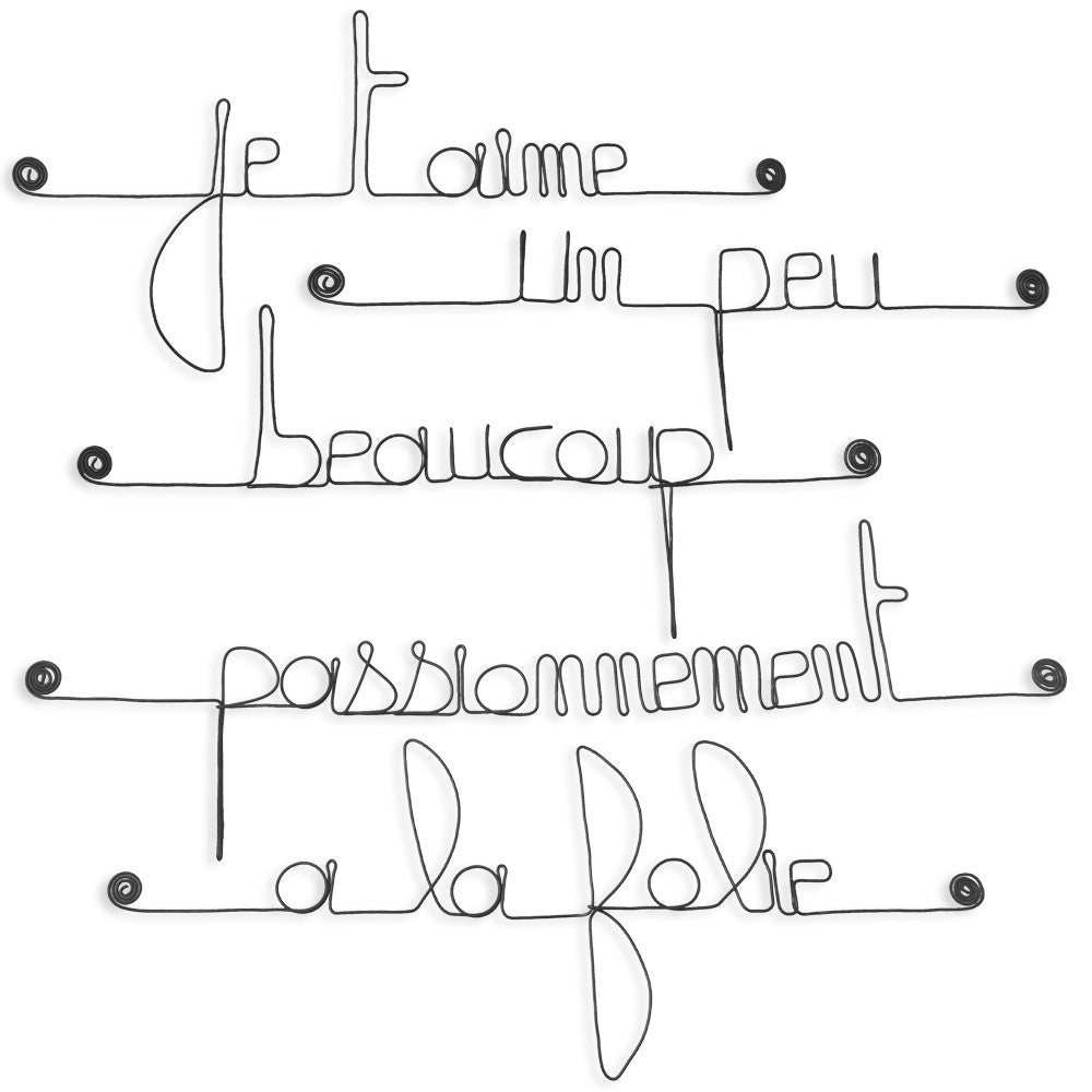 Citation en fil de fer " Je t'aime, un peu, beaucoup, passionnément, à la folie " - à punaiser - Bijoux de mur