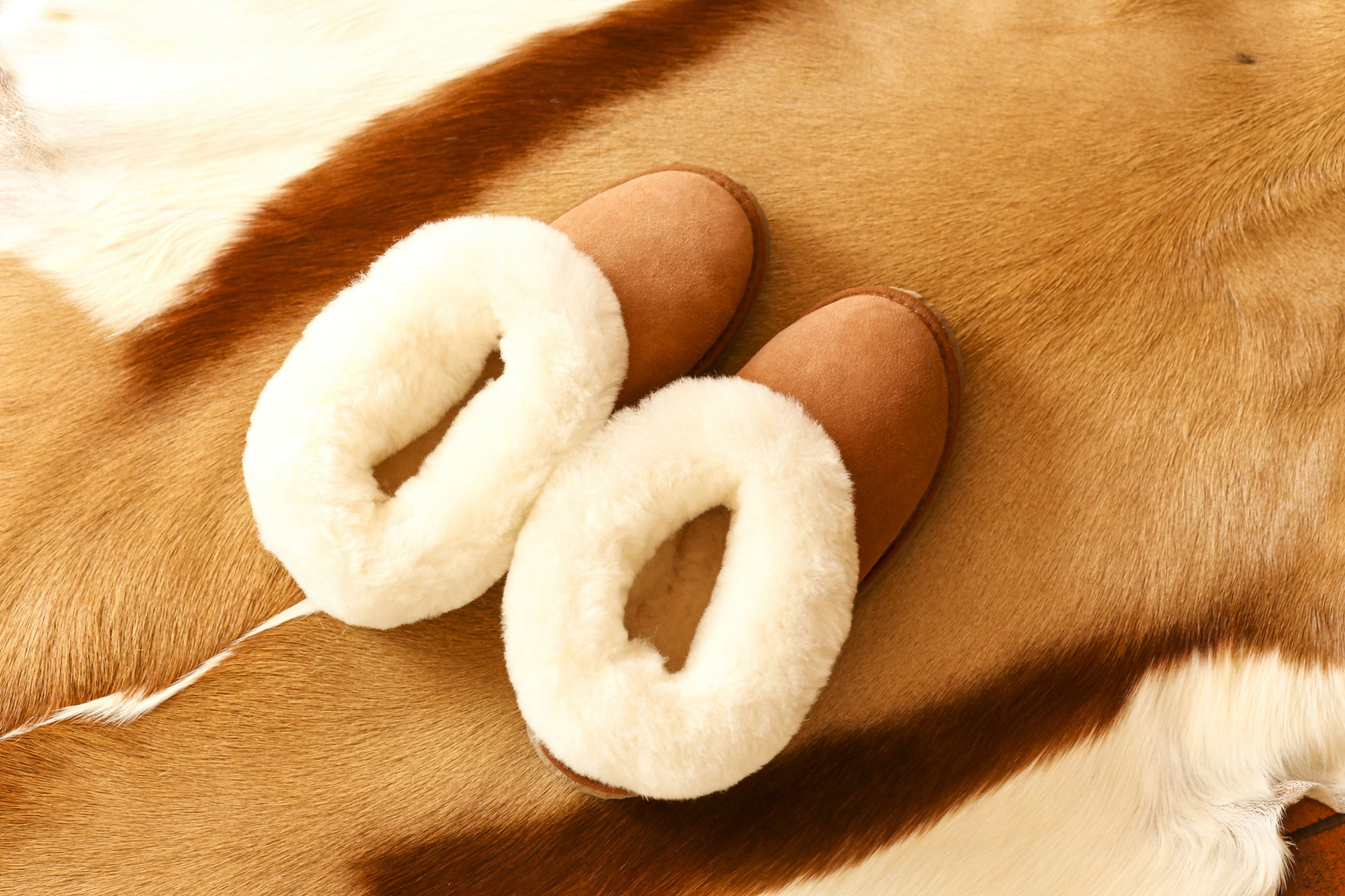 CHAUSSONS MIXTE CAMEL