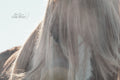27102021-_MPO8373s