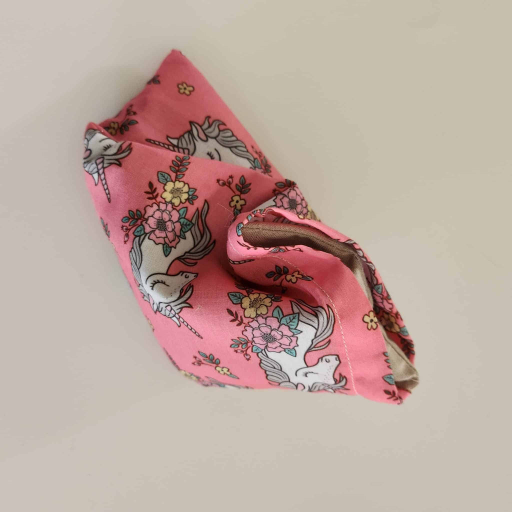 Bouillotte sèche déhoussable aux graines de Lin Bio