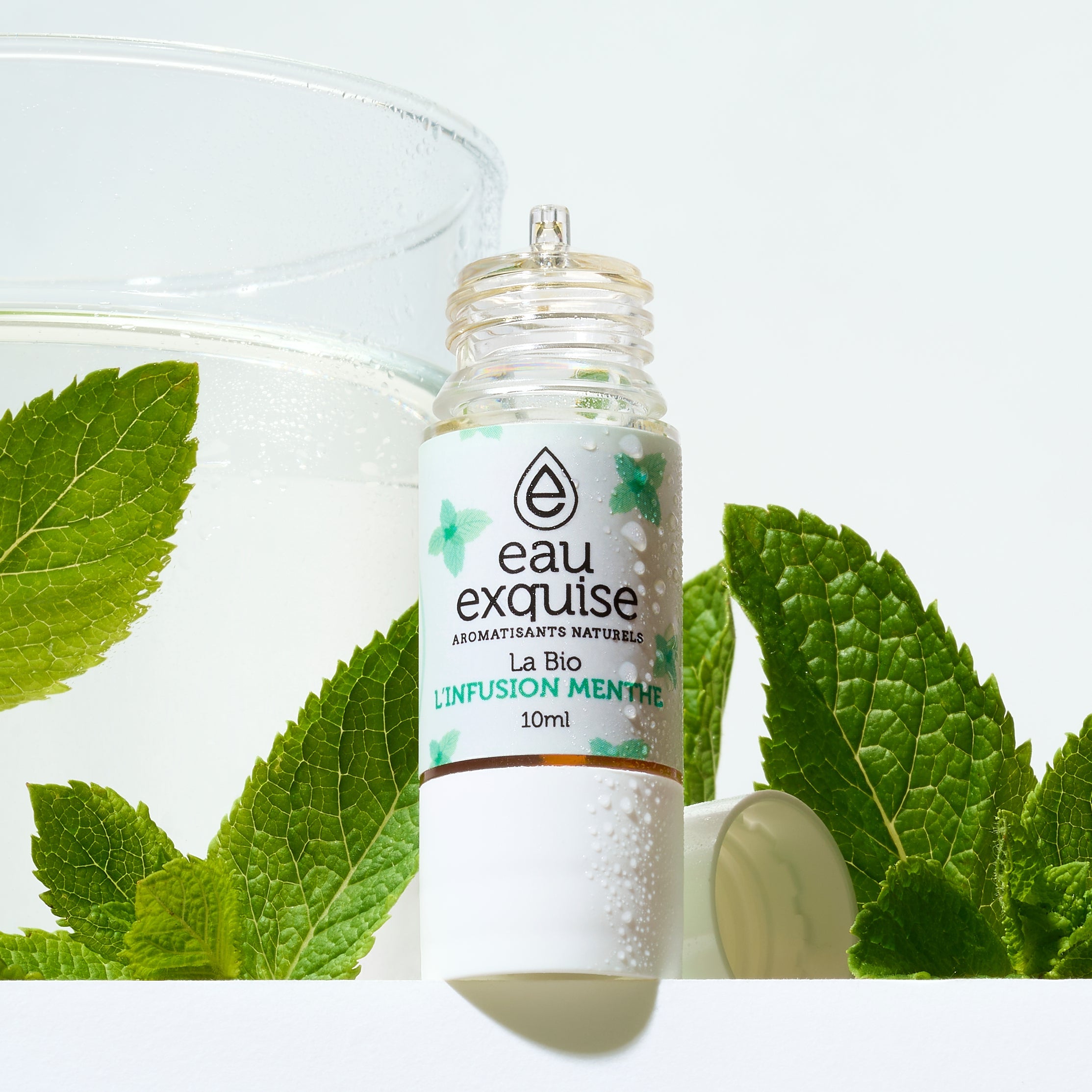 Peppermint Infusion - Organic