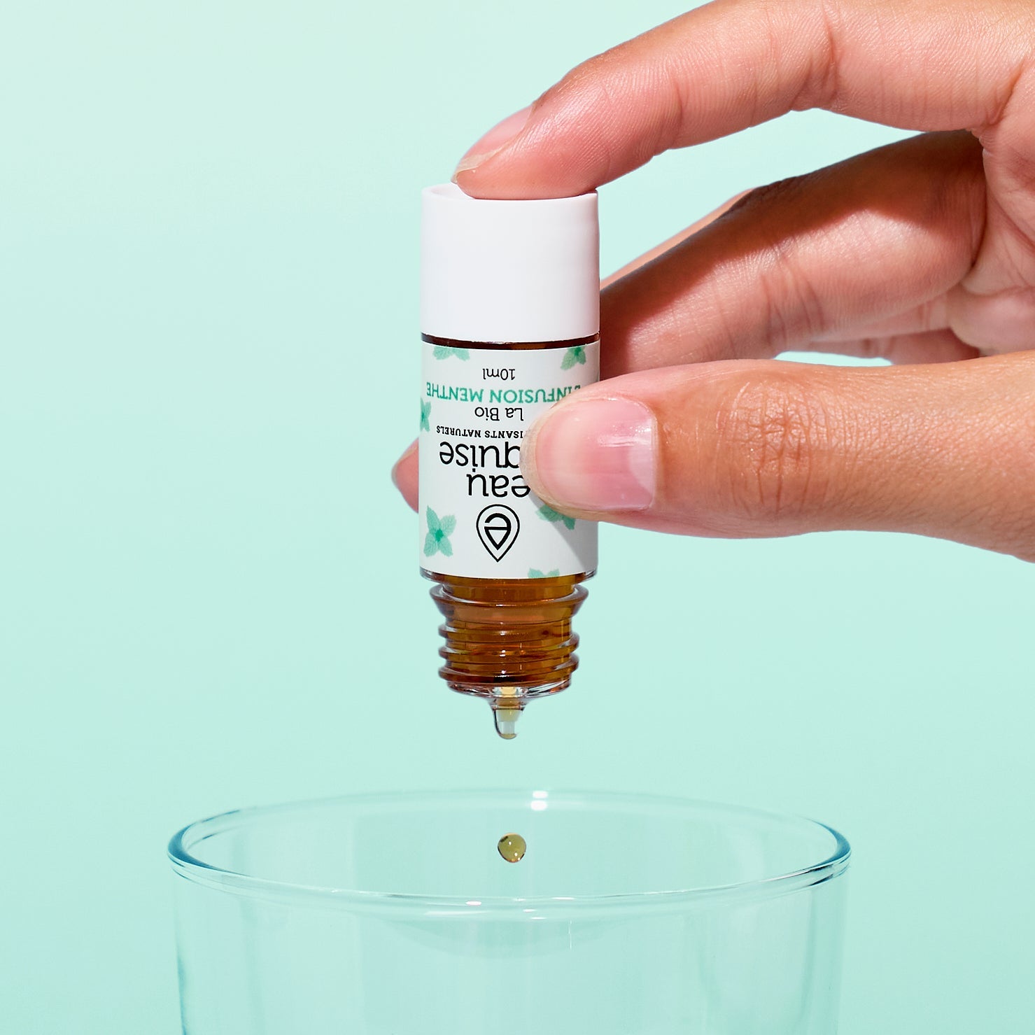 L'Infusion Menthe - La Bio