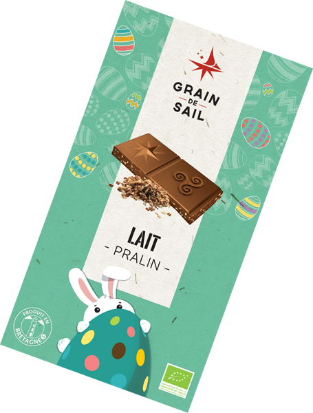 Praline Milk Chocolate Bar - 100G - ORGANIC