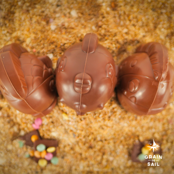 L'Aquarium chocolaté - 270G - BIO