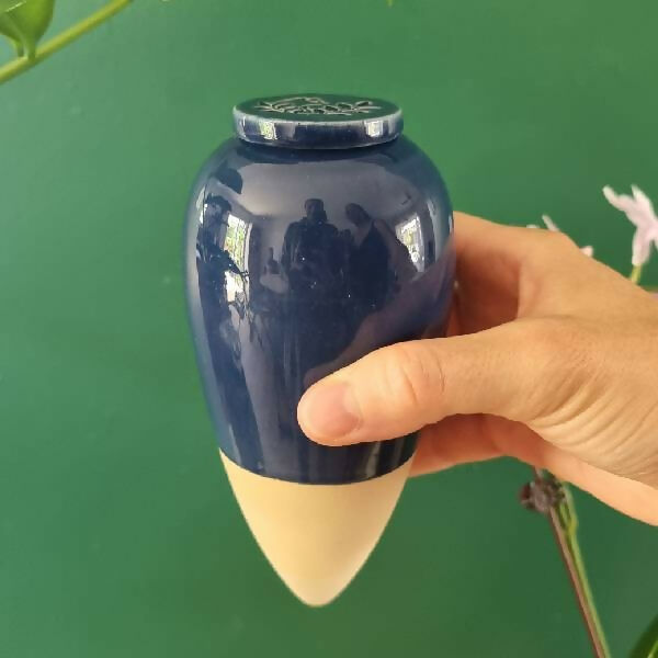 Deep Blue Catnip Olla - 30 cl
