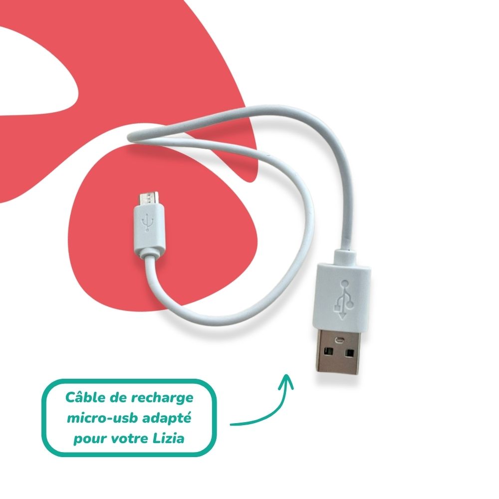 🎁 Câble de chargement (100% off)