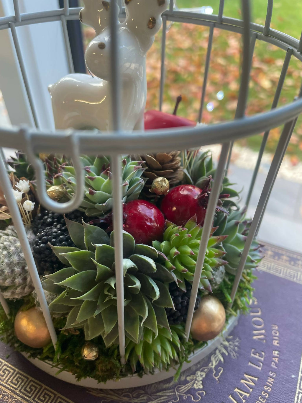 Cage Oiseau Christmas