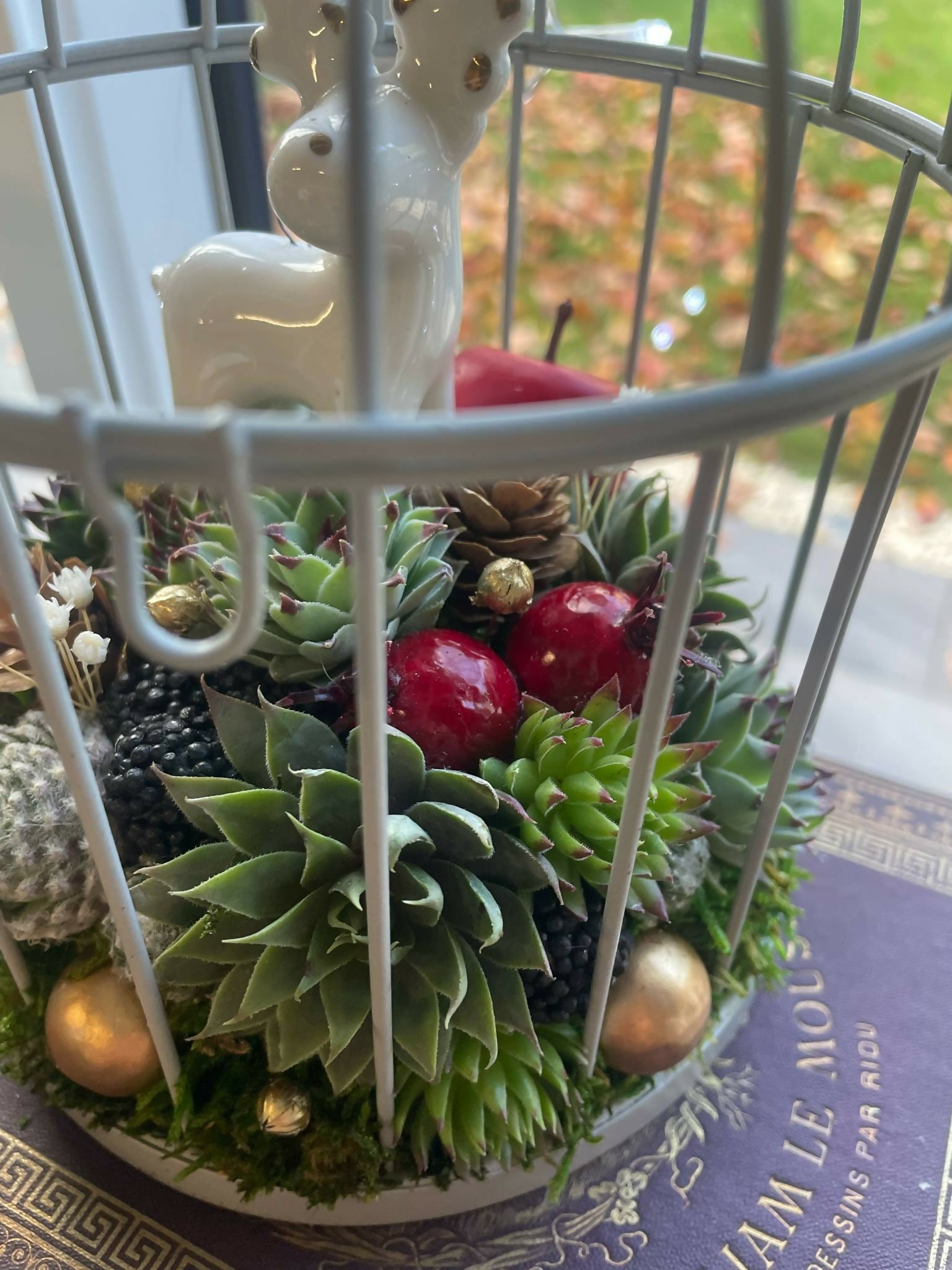 Cage Oiseau Christmas