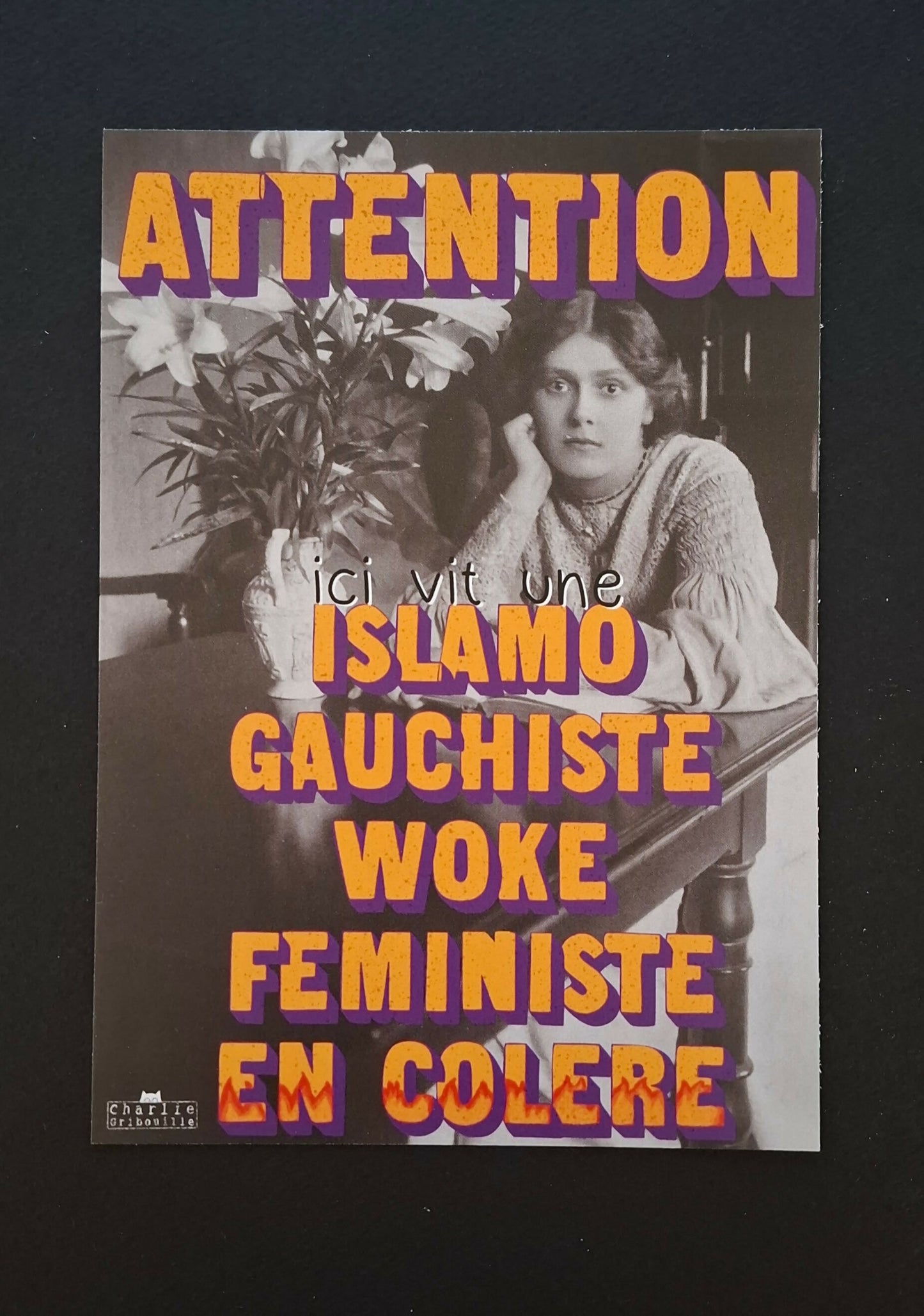 Carte postale Attention ici vit une islamo gauchiste