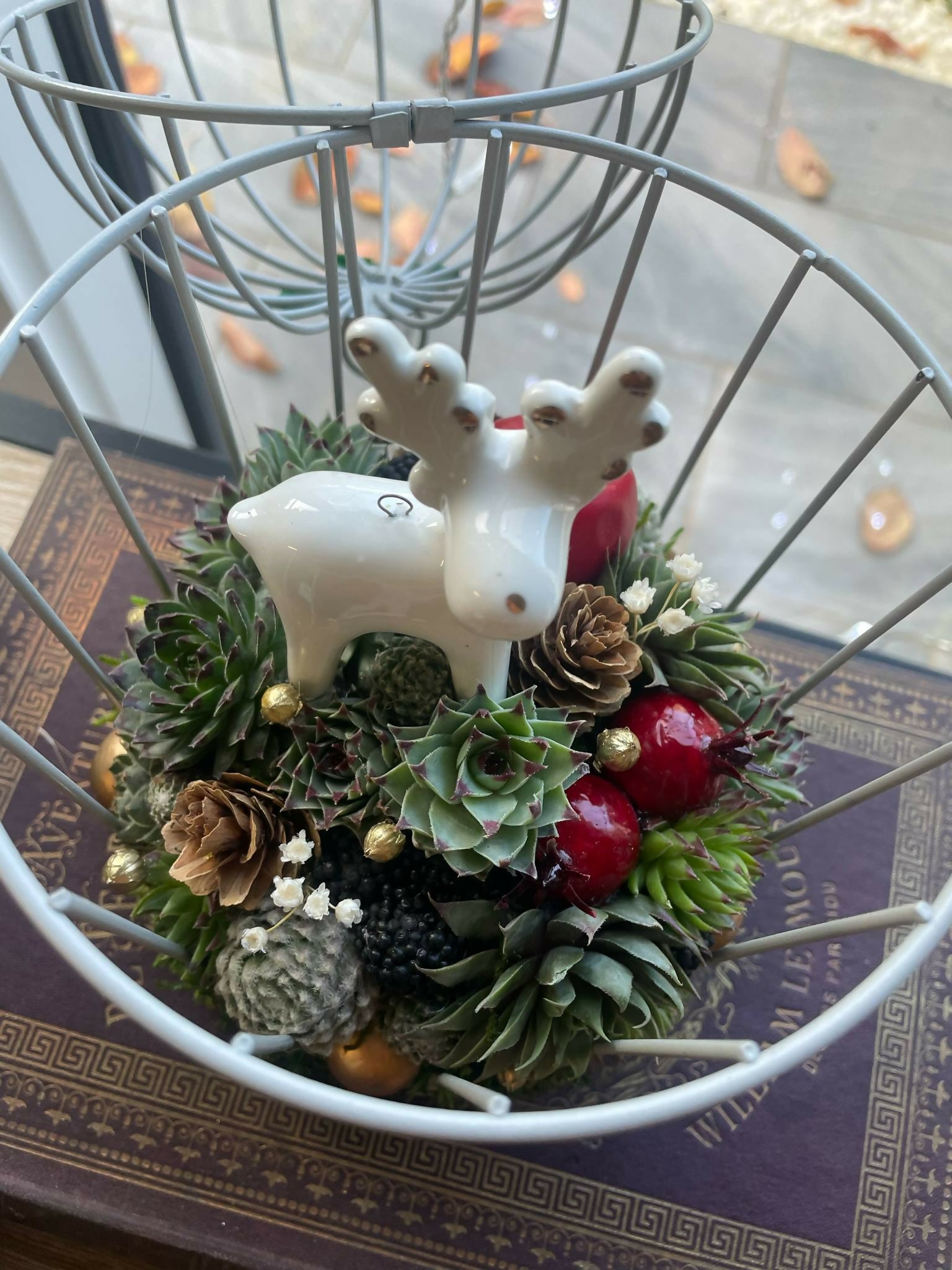 Cage Oiseau Christmas