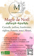 CHRISTMAS MAGIC INFUSION