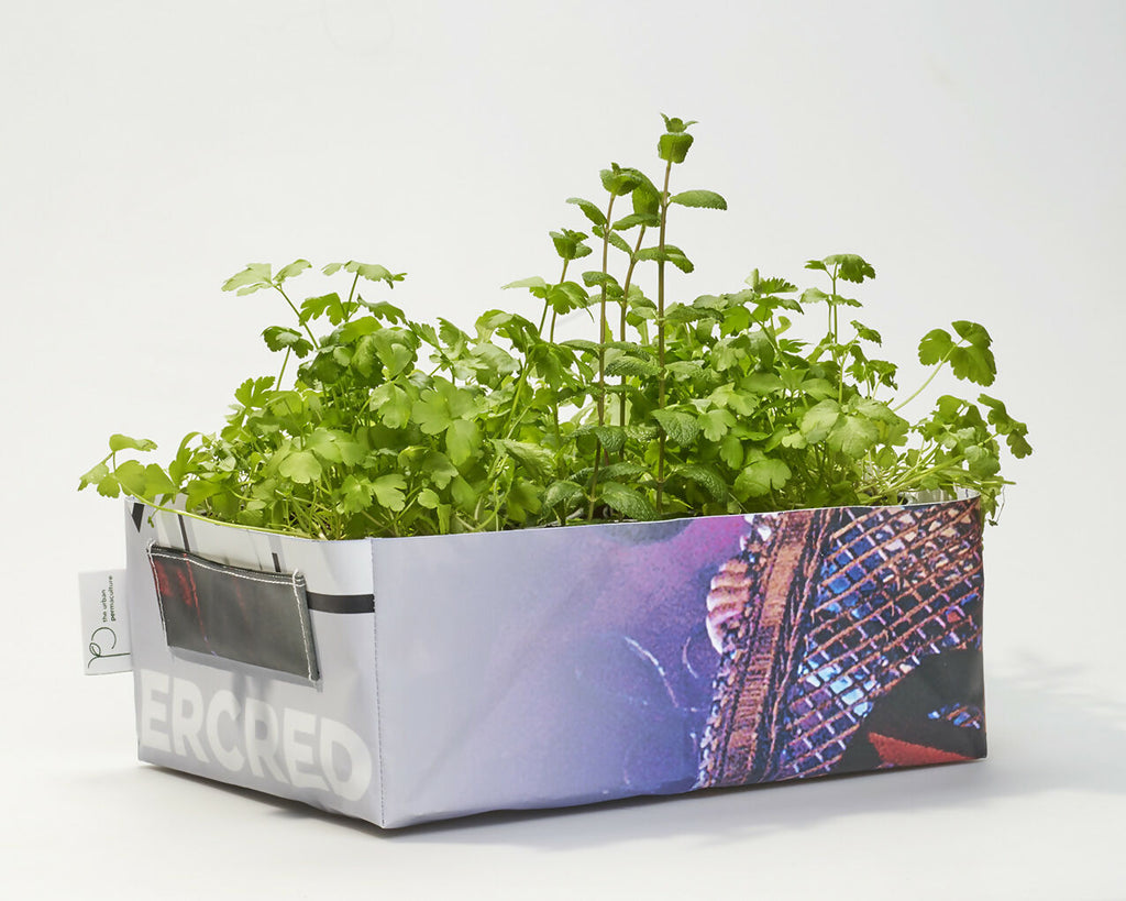 Kit potager mobile avec Aneth, Basilic, Moutarde, Persil, Coriandre, Basilic Thai